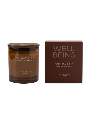 Свеча CERERIA MOLLA 1899 WELLBEING Спокойствие & Безмятежность / Calm & Serenity 370 г
